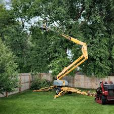 Trusted Charles City, IA Tree Services Experts