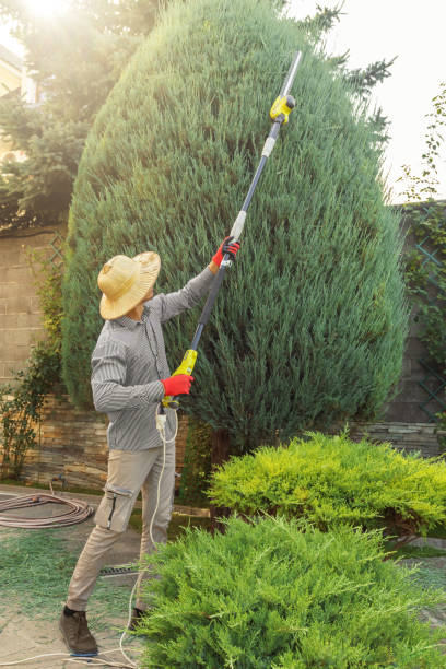 Best Lawn Watering Services  in Charles City, IA